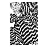 Ilustrace Woodcut Pattern, CSA Images, 26.7x40 cm