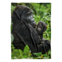 IMPAR Fleecová deka Gorila a mládě, 200 × 140 cm