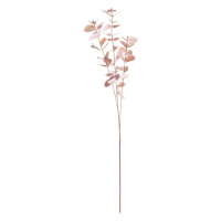 Dekoria Větev eukalyptu 90cm pink, 5 x 5 x 90 cm
