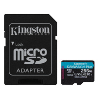 Paměťová karta Kingston Micro SDXC 256GB (SDCG3/256GB)