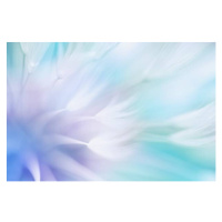 Fotografie Soft abstract gradient background , abstract, Tunatura, 40 × 26.7 cm