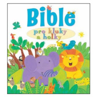 Bible pro kluky a holky - Lois Rocková, Kay Widdowsonová