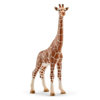 Schleich 14750 samice žirafy