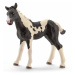 Schleich 13803 pinto hříbátko