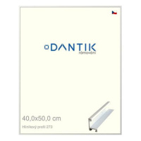 DANTIK rámeček 40 × 50, ALU profil 7273 Bílý matný plexi čiré