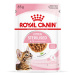 Royal Canin Sterilized Kitten v omáčce - 12 x 85 g