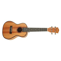 CASCHA HH 2035 Concert Mahogany Ukulele Set