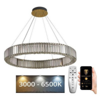 LED Stmívatelný lustr na lanku LED/50W/230V 3000-6500K chrom/zlatá + DO