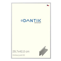 DANTIK rámeček 29,7 × 42, ALU profil 6030 Stříbrný matný plexi čiré