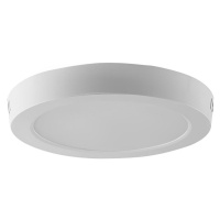 LED Stropní svítidlo LED/24W/230V 3000K