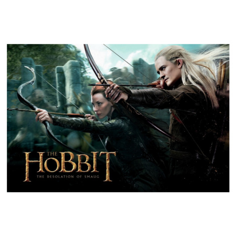 Umělecký tisk Hobbit - Legolas and Tauriel, (40 x 26.7 cm)