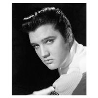Fotografie Elvis Presley, 35x40 cm