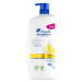 HEAD&SHOULDERS Šampon Citrus 800 ml