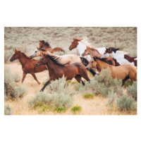 Fotografie Cowboy Lifestyle in Utah, RichLegg, 40 × 26.7 cm