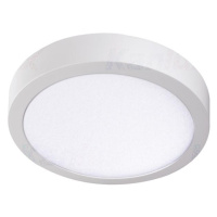 Kanlux 33541 CARSA V2LED 24W-NW-W   Přisazené svítidlo LED