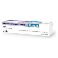 HYDROCORTISON 1% Léčiva mast 10 g