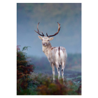 Umělecká fotografie Portrait of fallow deer stag, Mark Smith, (26.7 x 40 cm)