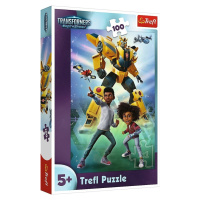 Puzzle Transformers