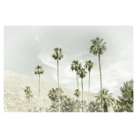 Umělecká fotografie Palm Trees in the desert | Vintage, Melanie Viola, (40 x 26.7 cm)