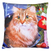 Vánoční polštář XMAS CAT III. 40x40 cm Mybesthome Varianta: Povlak na polštář s antialergickou p