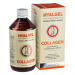 Hyalgel Collagen 500 Ml