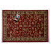 Spoltex koberce Liberec Kusový koberec Samira New Red 12002-011 - 200x280 cm