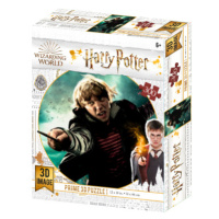 PRIME 3D PUZZLE - Harry Potter - Ron Weasley 300 dílků