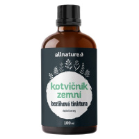 Allnature Kotvičník bezlihová tinktura 100 ml