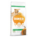 IAMS Dog Adult Large Lamb 12kg