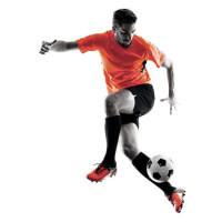 Fotografie Soccer player Man Isolated silhouette, OSTILL, 30 × 40 cm