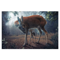 Fotografie Mother and Fawn, JohnWilhelm, 40 × 26.7 cm