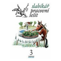 Slabikář – Pracovní sešit 3 - Hana Mikulenková