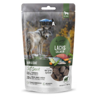 Tundra Dog Snack Skin & Coat losos 9 × 100 g