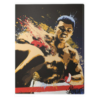 Obraz na plátně Muhammad Ali - Stung, (30 x 40 cm)