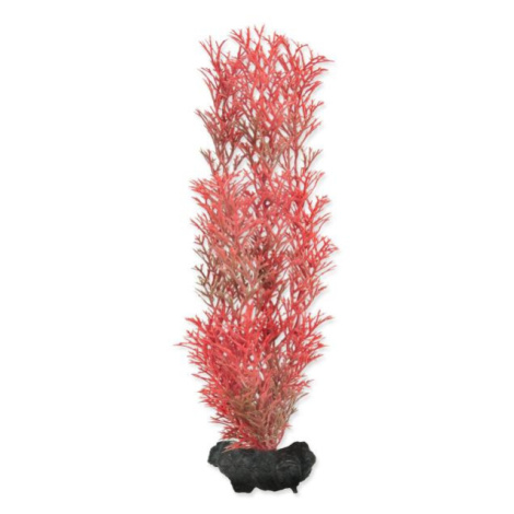 Dekorace Tetra Rostlina Foxtail Red M 23cm