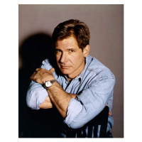 Fotografie Harrison Ford, 30 × 40 cm