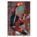 Plakát Spider-Man - Web Sling (232)