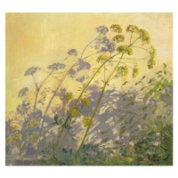 Obrazová reprodukce Lovage, Clematis and Shadows, 1999, Timothy Easton, 40 × 35 cm