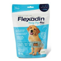 Flexadin 4Life Young Dog Maxi žvýkací 60tbl 1 + 1 zdarma