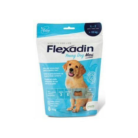 Flexadin 4Life Young Dog Maxi žvýkací 60tbl 1 + 1 zdarma Vétoquinol