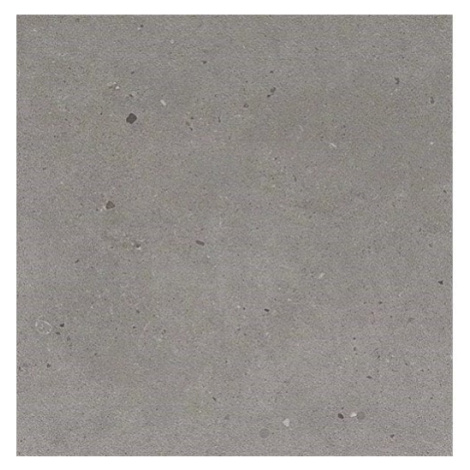 Dlažba Graniti Fiandre Fjord grey 60x60 cm mat AS209X860R10