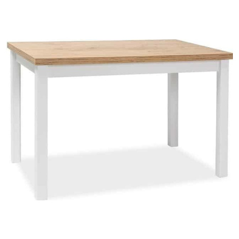 Casarredo Jídelní stůl ADAM 100x60 - dub lancelot/bílá mat