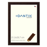 DANTIK rámeček 21 × 29,7, NPINO tmavě hnědý sklo čiré