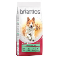 Briantos, 14 kg - 10 % sleva - Adult jehněčí s rýží (14 kg)
