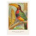 Ilustrace The Banded Toucan (Birds of the Tropics) - George Harris, 26.7 × 40 cm