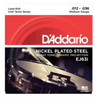 D'Addario EJ63i