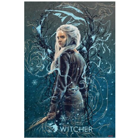 Plakát The Witcher - Ciri the Swallow Europosters