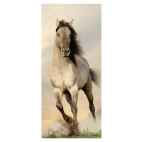 FTN V 2928 Vliesová fototapeta dveřní Galloping horse - koně, velikost 90 x 202 cm