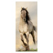 FTN V 2928 Vliesová fototapeta dveřní Galloping horse - koně, velikost 90 x 202 cm