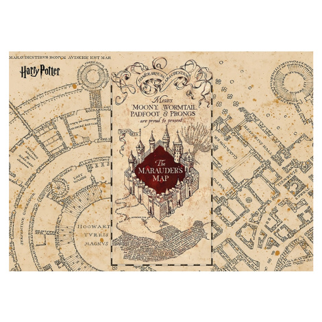Dětská fototapeta Harry Potter Marauders Map 252 x 182 cm, 4 díly